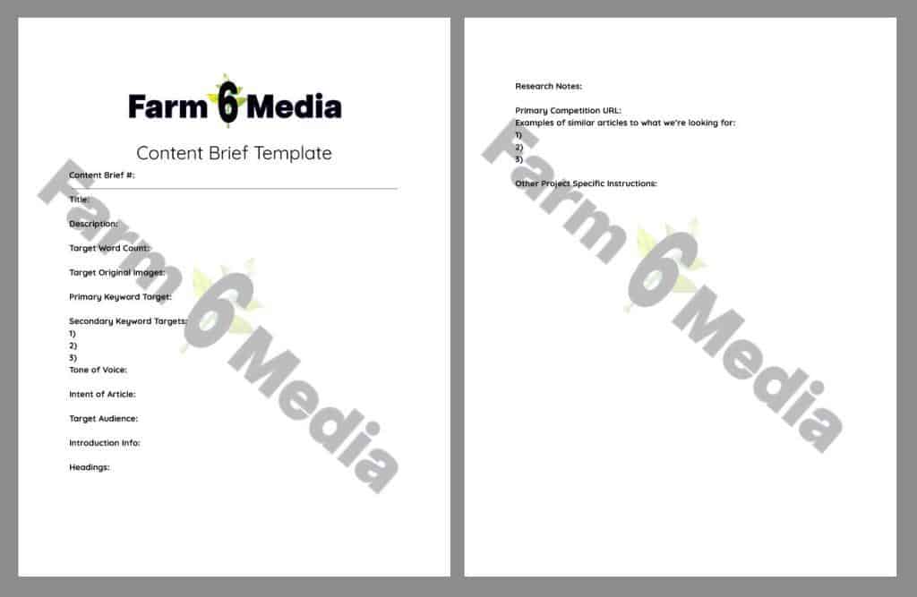 Content Brief Service by Farm 6 Media